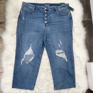 NWT Wild Fable ripped jeans size 26W